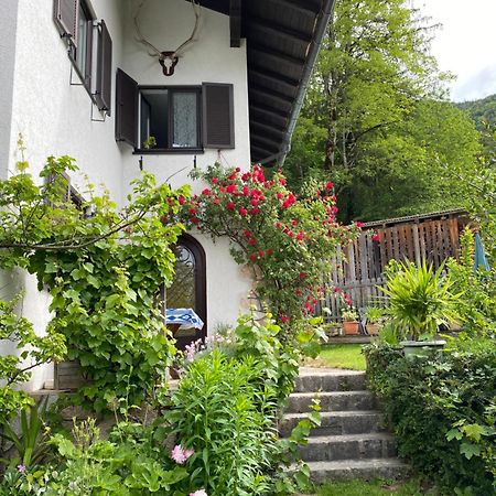 Ferienwohnung Laimer, Radau 37 Sankt Wolfgang im Salzkammergut Bagian luar foto