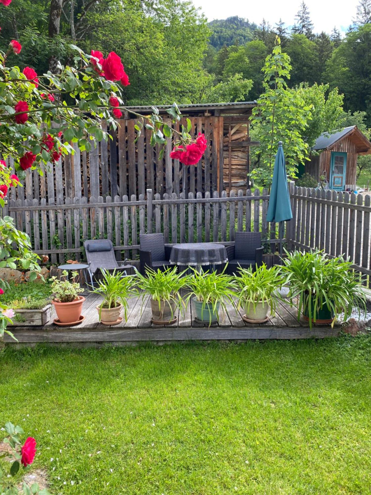 Ferienwohnung Laimer, Radau 37 Sankt Wolfgang im Salzkammergut Bagian luar foto