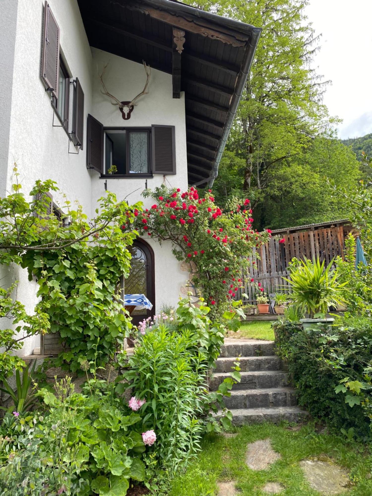 Ferienwohnung Laimer, Radau 37 Sankt Wolfgang im Salzkammergut Bagian luar foto